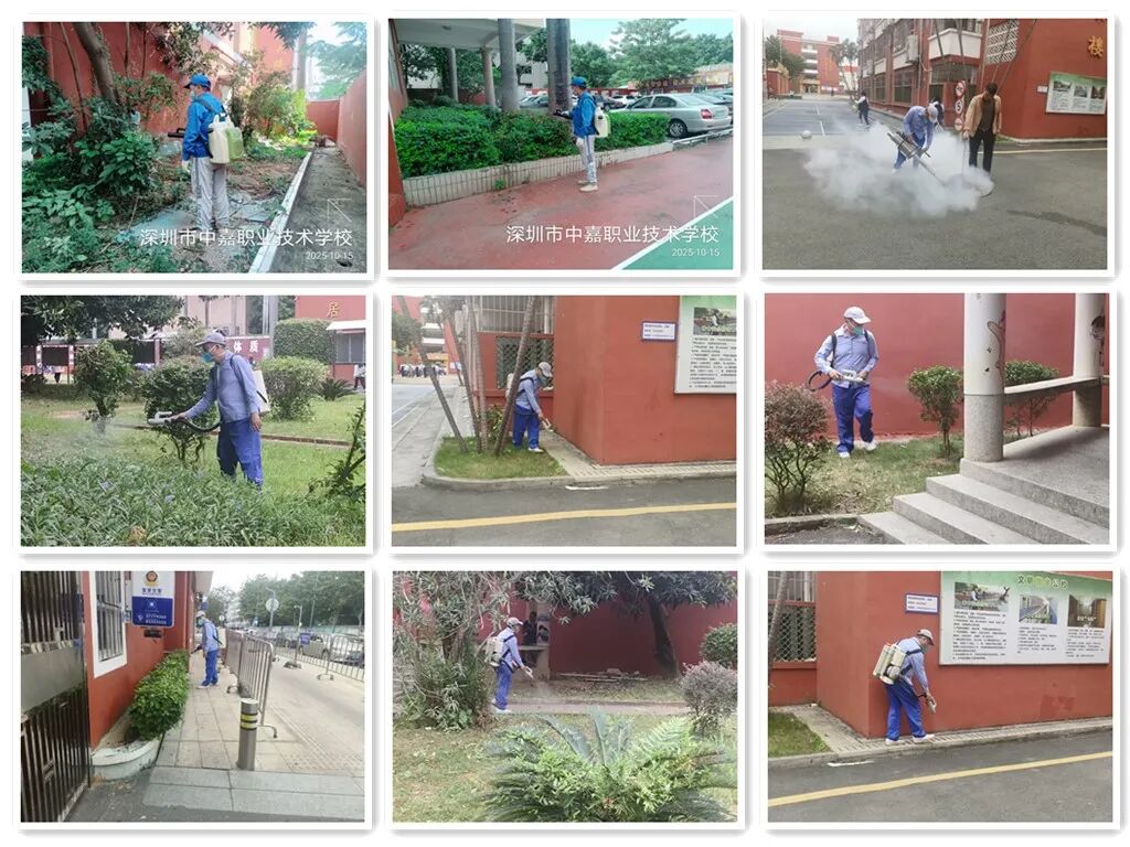 1761288976686659.jpg 3.jpg